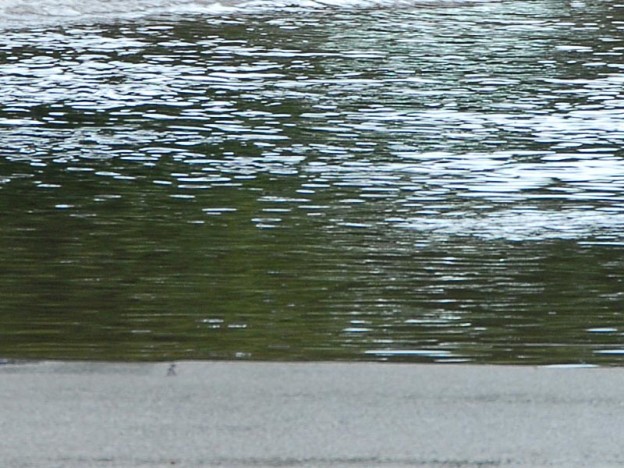 flooded road