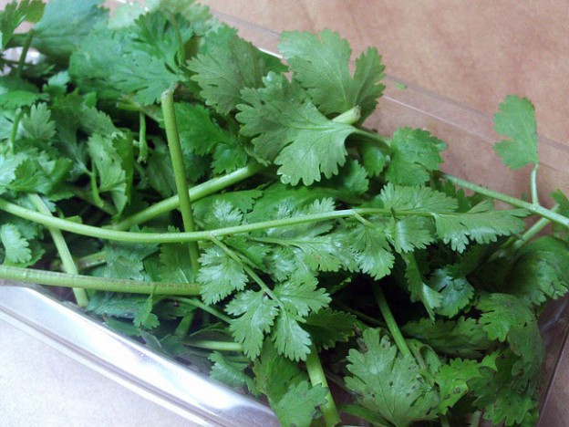 Cilantro from Puebla, Mexico is suspected for Cyclosporiasis outbreak in Texas.